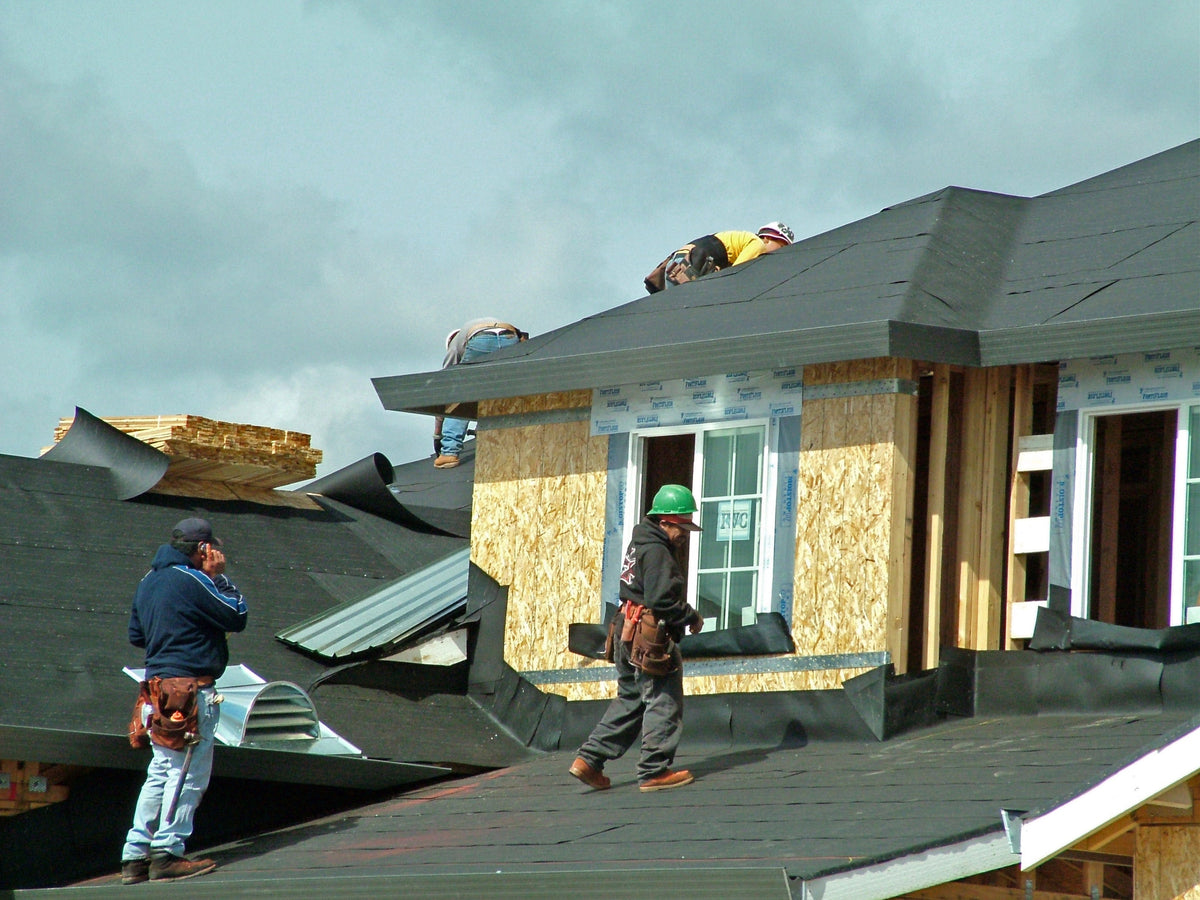 Cutaway of roof eave layers — drip edge, ice and water shield, and starter strip code requirements